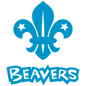 Beavers